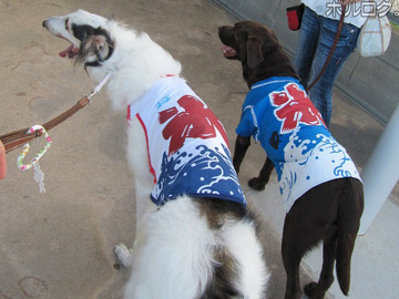 201008natu.JPG