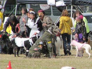 2010bwp-19.jpg