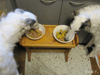 2011031.jpg