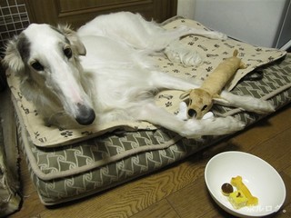 2011036.jpg