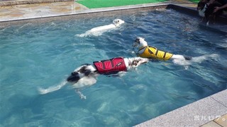 2012swim7.jpg