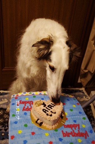 5THBD_2.jpg